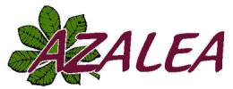 Azalea Jardineria  Azalea Jardineria